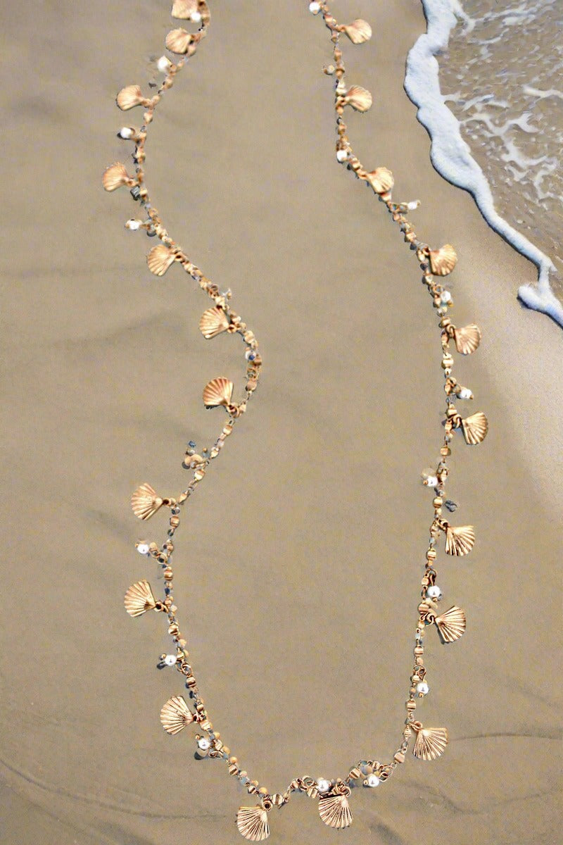 Clam and Shell Set