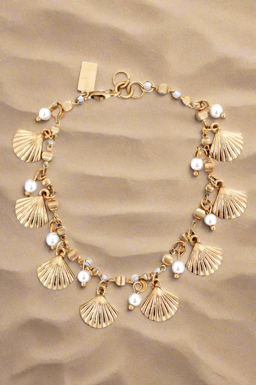 Clam and Shell Set