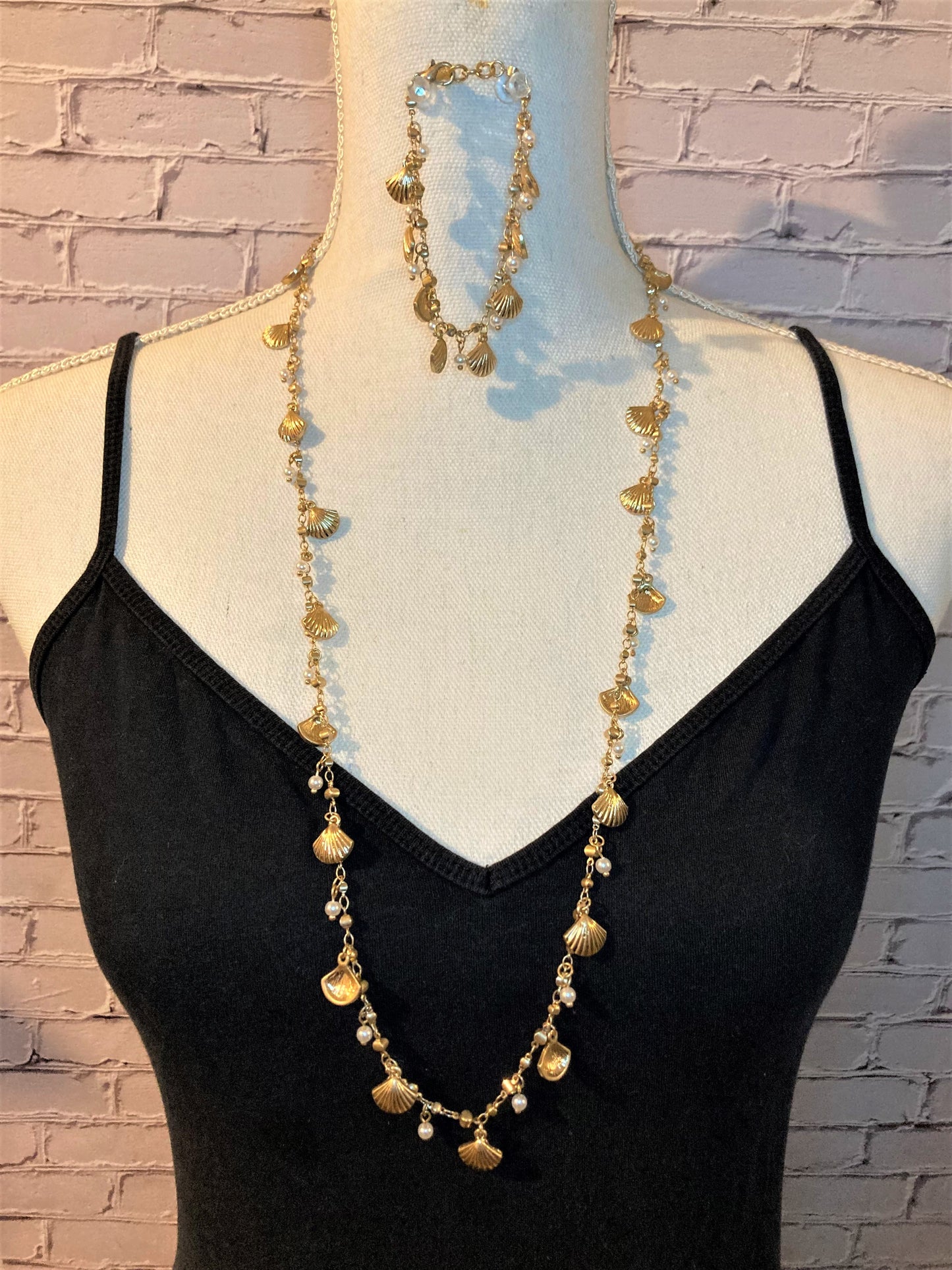 Clam and Shell Set