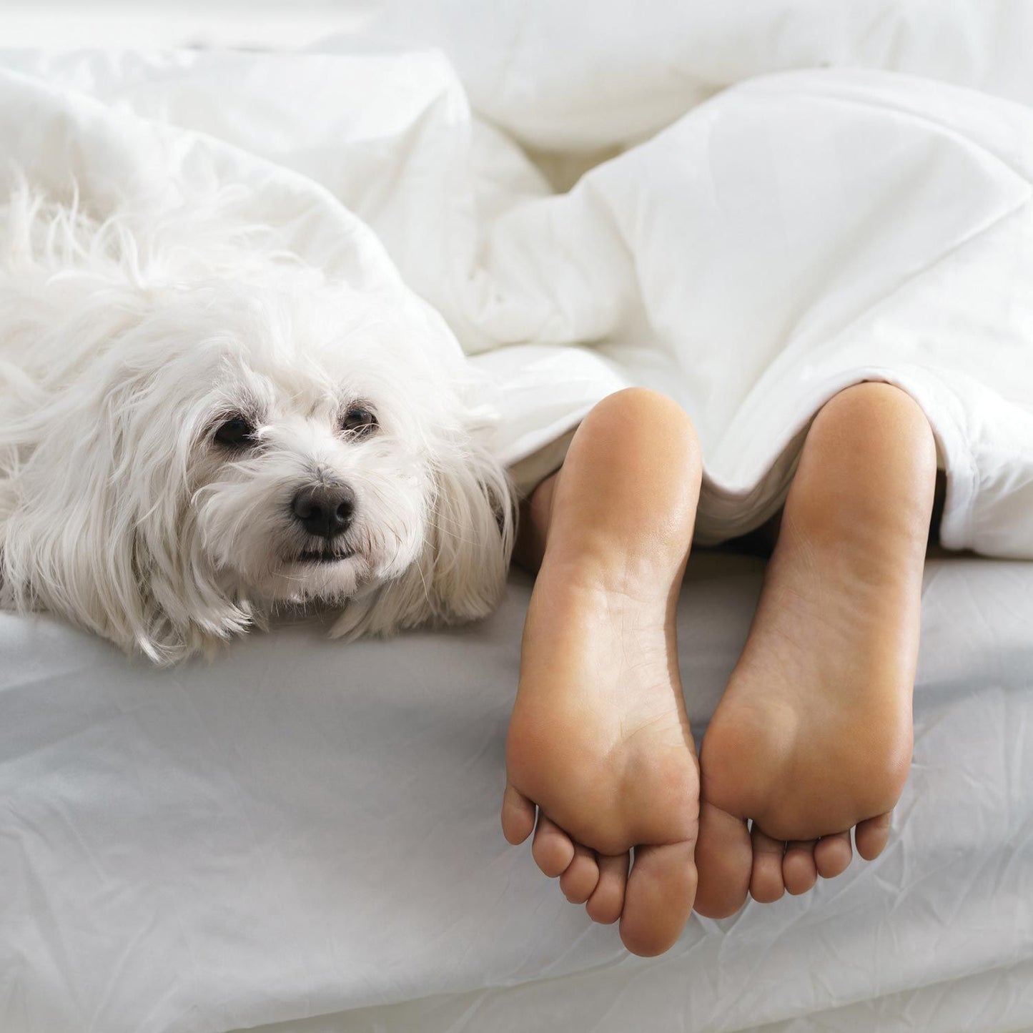 Smile Foot Mask